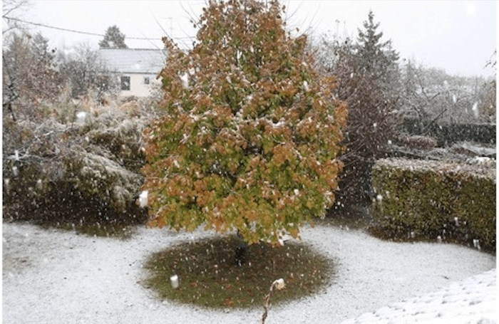 Quand il neigeait à la Toussaint...