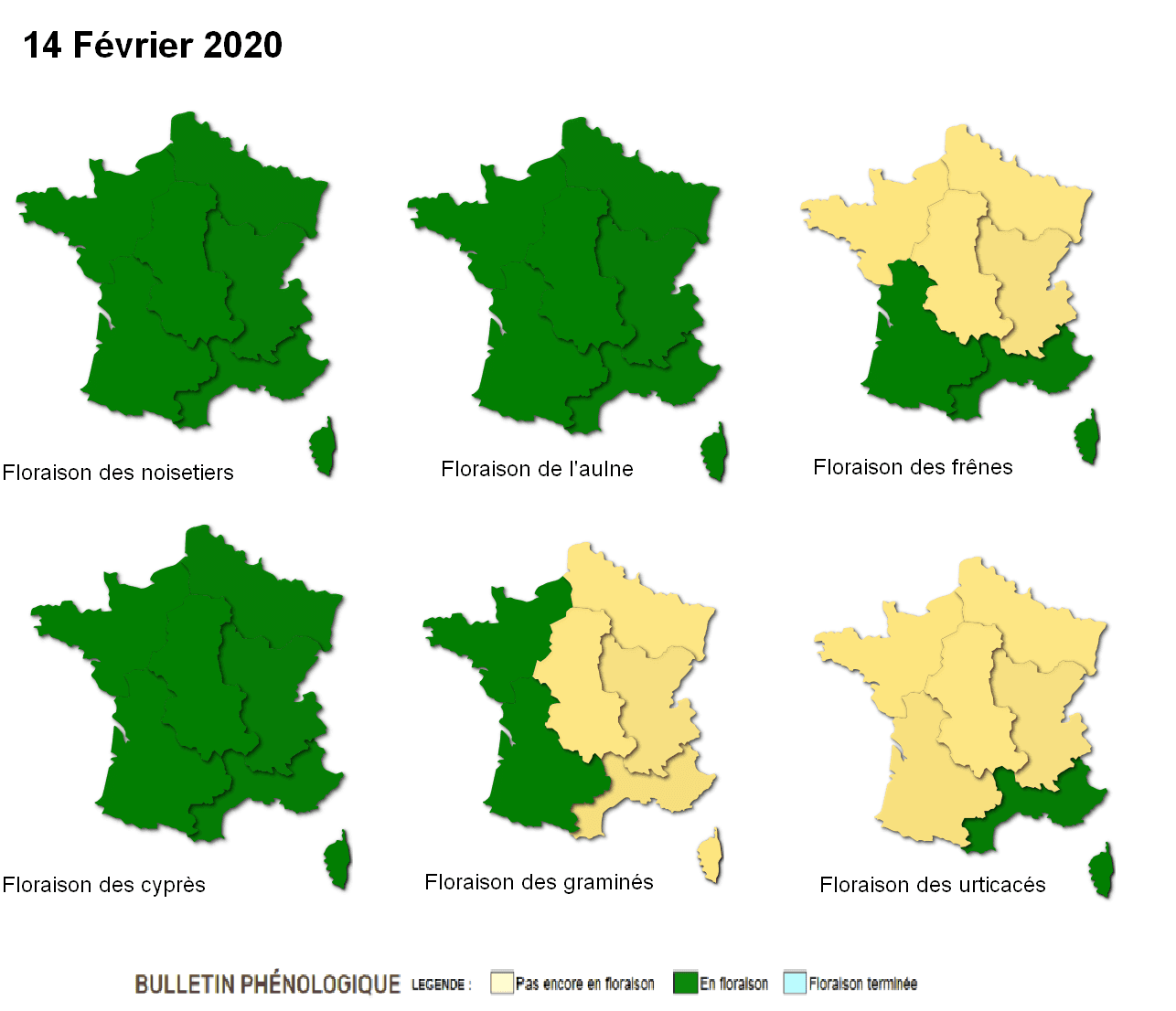 Image d'illustration pour Hiver doux : réveil de la nature et des pollens
