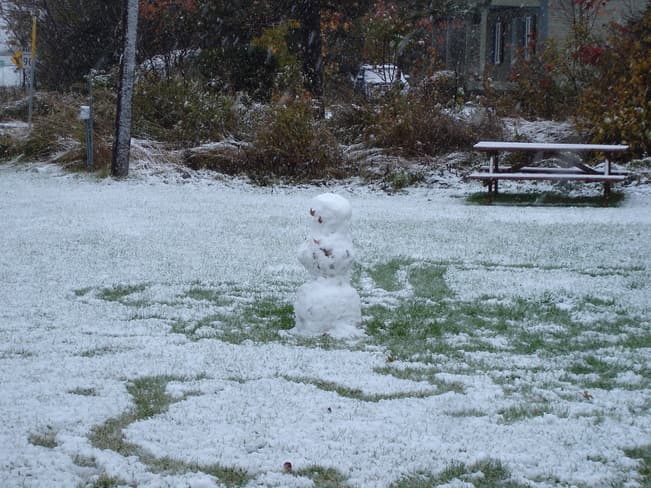 Image d'illustration pour Premières neiges de la saison au Québec