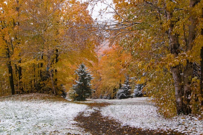 Image d'illustration pour Premières neiges de la saison au Québec