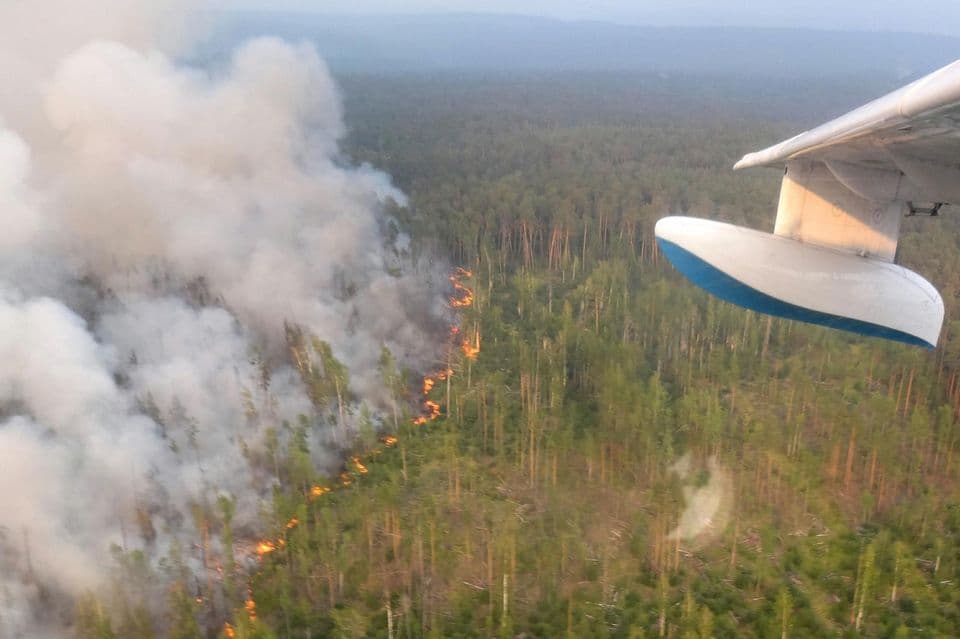 Image d'illustration pour Chaleur et incendies en Sibérie : un risque pour le climat mondial ?