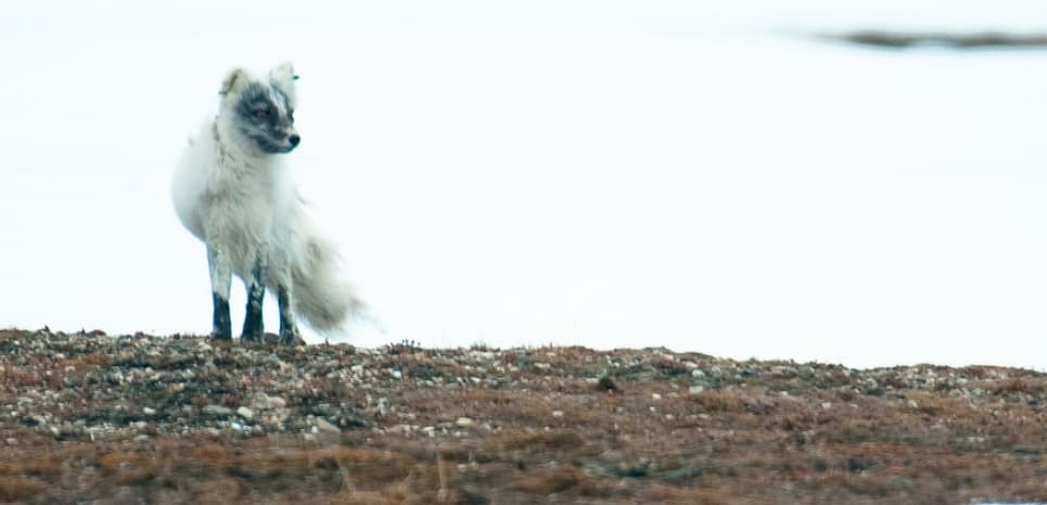 Image d'illustration pour Réchauffement & changement climatique : veille documentaire