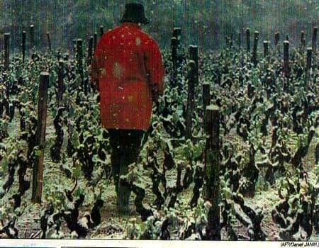 Image d'illustration pour Chaleur au mois de mai : des événements marqués dans le passé
