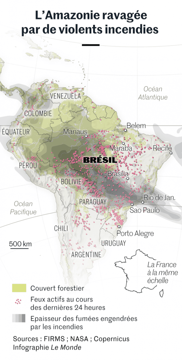 Image d'illustration pour Incendies en Amazonie, une catastrophe écologique mondiale en devenir