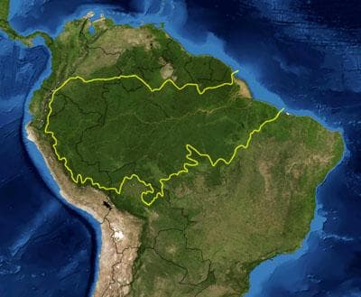 Image d'illustration pour Incendies en Amazonie, une catastrophe écologique mondiale en devenir