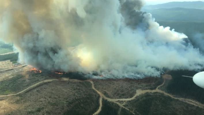 Image d'illustration pour Gigantesques incendies de forêt au Canada et aux États-Unis