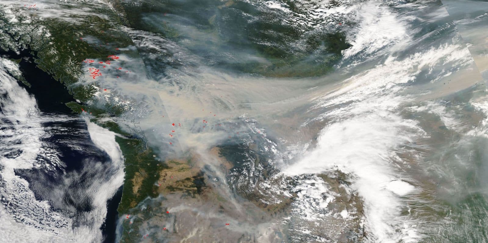 Image d'illustration pour Gigantesques incendies de forêt au Canada et aux États-Unis