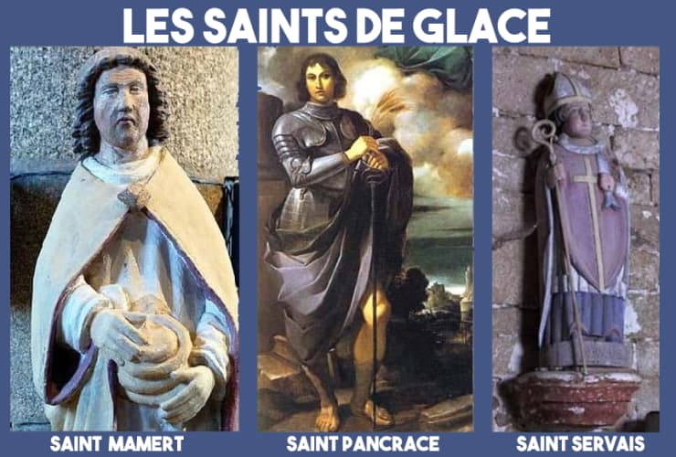 Image d'illustration pour Saints de glace : des gelées observées cette année