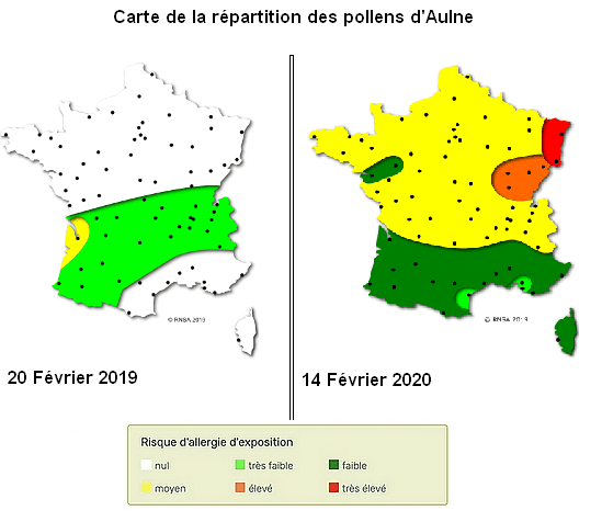 Image d'illustration pour Hiver doux : réveil de la nature et des pollens