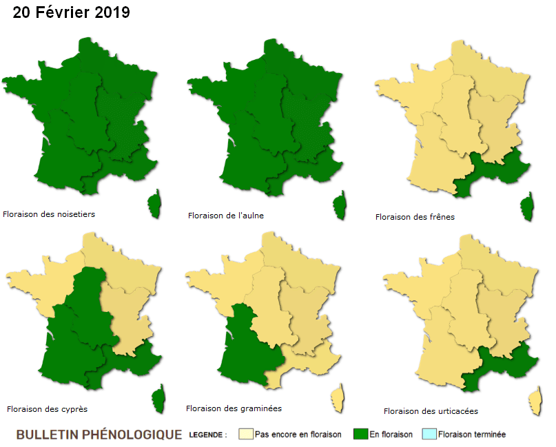Image d'illustration pour Hiver doux : réveil de la nature et des pollens