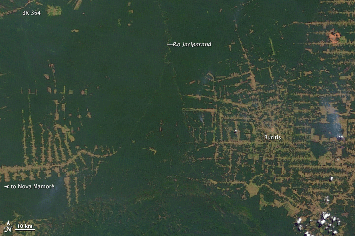 Image d'illustration pour Incendies en Amazonie, une catastrophe écologique mondiale en devenir