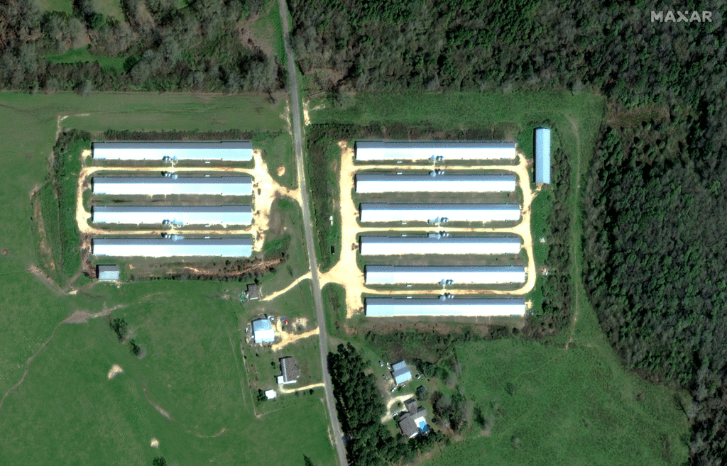 Image d'illustration pour Tornades aux Etats-Unis : Pâques meurtrier dans la Dixie Alley