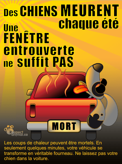 Image d'illustration pour Ne laissez jamais un animal enfermé dans une voiture quand il fait chaud