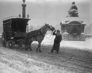 Image d'illustration pour Historique des offensives hivernales début Novembre 