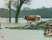 Image d'illustration pour Froid, neige et pluie en avril 1986... avant Tchernobyl