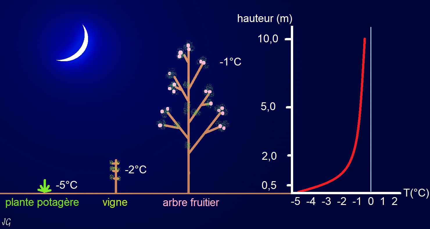 Image d'illustration pour Brutal refroidissement et risque de gelées en fin de semaine