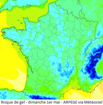 Image d'illustration pour Suivi et prévision du risque de gelée cette semaine