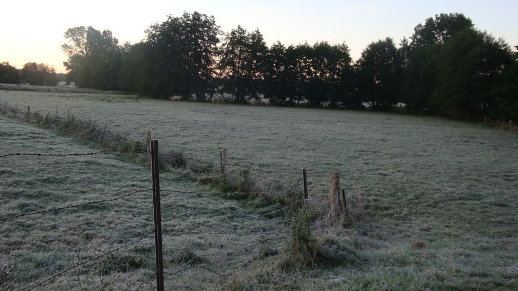 Image d'illustration pour Gelées blanches de jeudi 20 septembre 2012