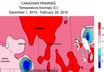 Image d'illustration pour Un gigantesque incendie ravage l'Alberta (Canada) 