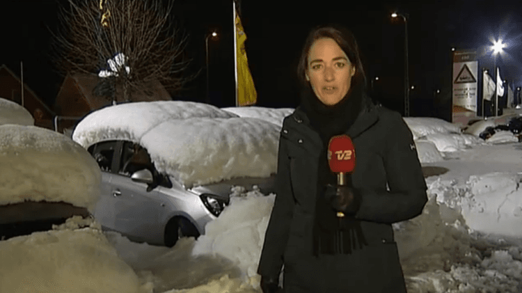 Image d'illustration pour France, Danemark, Etats-Unis - la neige gagne sur terrain 
