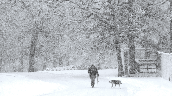 Image d'illustration pour France, Danemark, Etats-Unis - la neige gagne sur terrain 