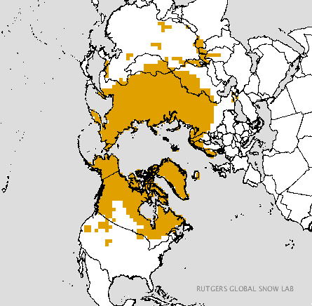 Image d'illustration pour France, Danemark, Etats-Unis - la neige gagne sur terrain 