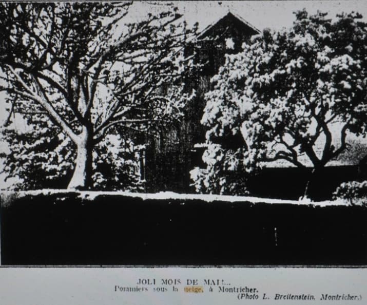 Image d'illustration pour Neige et froid exceptionnels à la mi-mai 1935, y compris à Paris