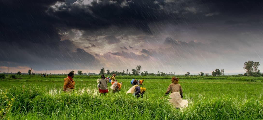 Image d'illustration pour De bonnes odeurs de pluie ce week-end