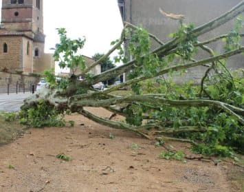 Image d'illustration pour Chaleur tournant de nouveau à l'orage du 18 au 21 juillet