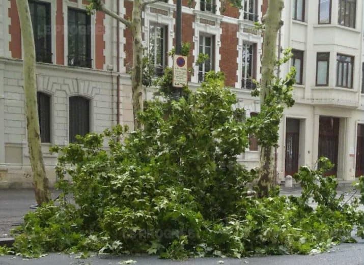 Image d'illustration pour Chaleur tournant de nouveau à l'orage du 18 au 21 juillet