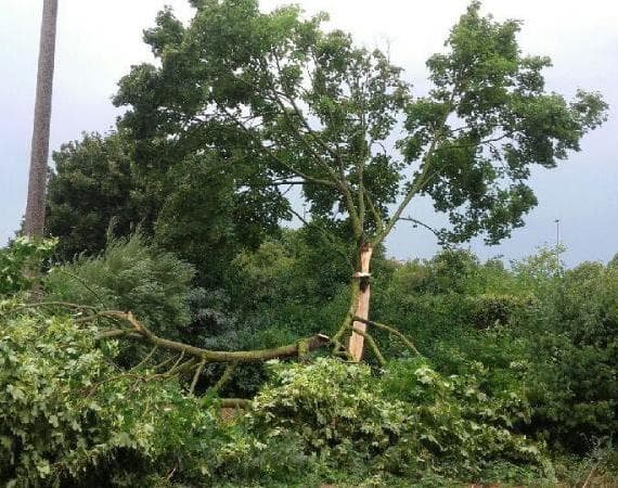 Image d'illustration pour De nouveaux orages fin juillet après un semestre record