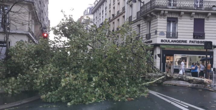 Image d'illustration pour De nouveaux orages fin juillet après un semestre record