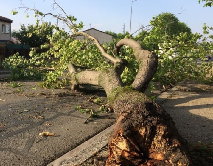 Image d'illustration pour Violents orages ce début juillet après la canicule : grêle et vent