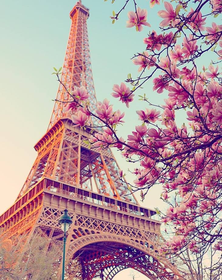 Image d'illustration pour Bilan météo de mars à Paris : doux et assez pluvieux