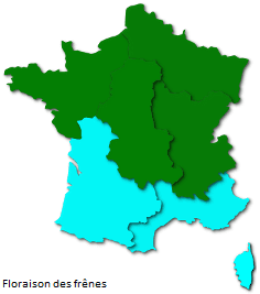 Image d'illustration pour Après le bouleau, les pollens de graminées provoquent des allergies