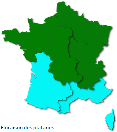 Image d'illustration pour Après le bouleau, les pollens de graminées provoquent des allergies