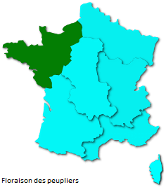 Image d'illustration pour Après le bouleau, les pollens de graminées provoquent des allergies