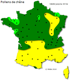 Image d'illustration pour Après le bouleau, les pollens de graminées provoquent des allergies