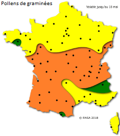Image d'illustration pour Après le bouleau, les pollens de graminées provoquent des allergies