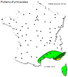 Image d'illustration pour Après le bouleau, les pollens de graminées provoquent des allergies