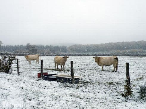 Image d'illustration pour Grande fraîcheur et chutes de neige précoces les 14 et 15 octobre