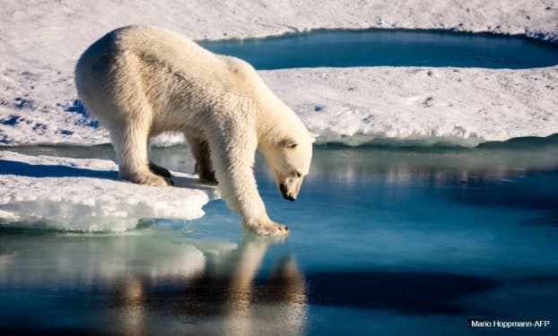 Image d'illustration pour Changements climatiques : notre revue de presse 