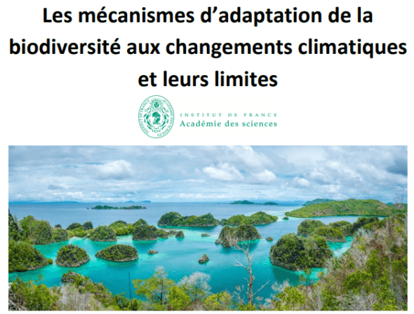 Image d'illustration pour Changements climatiques : notre revue de presse 