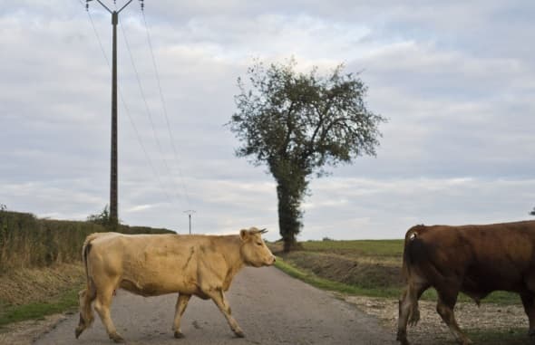 Image d'illustration pour Changements climatiques : notre revue de presse 