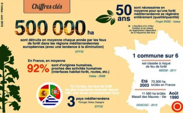 Image d'illustration pour Changements climatiques : notre revue de presse 