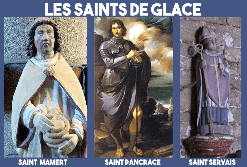 Image d'illustration pour Le retour du froid ... pour les Saints de Glace ! 