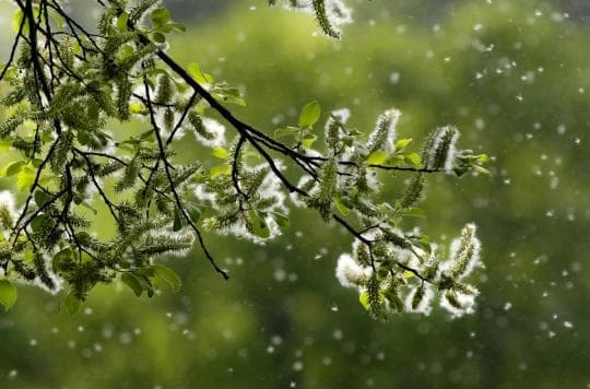 Image d'illustration pour Coronavirus : comment la pandémie est-elle influencée par le climat ? 