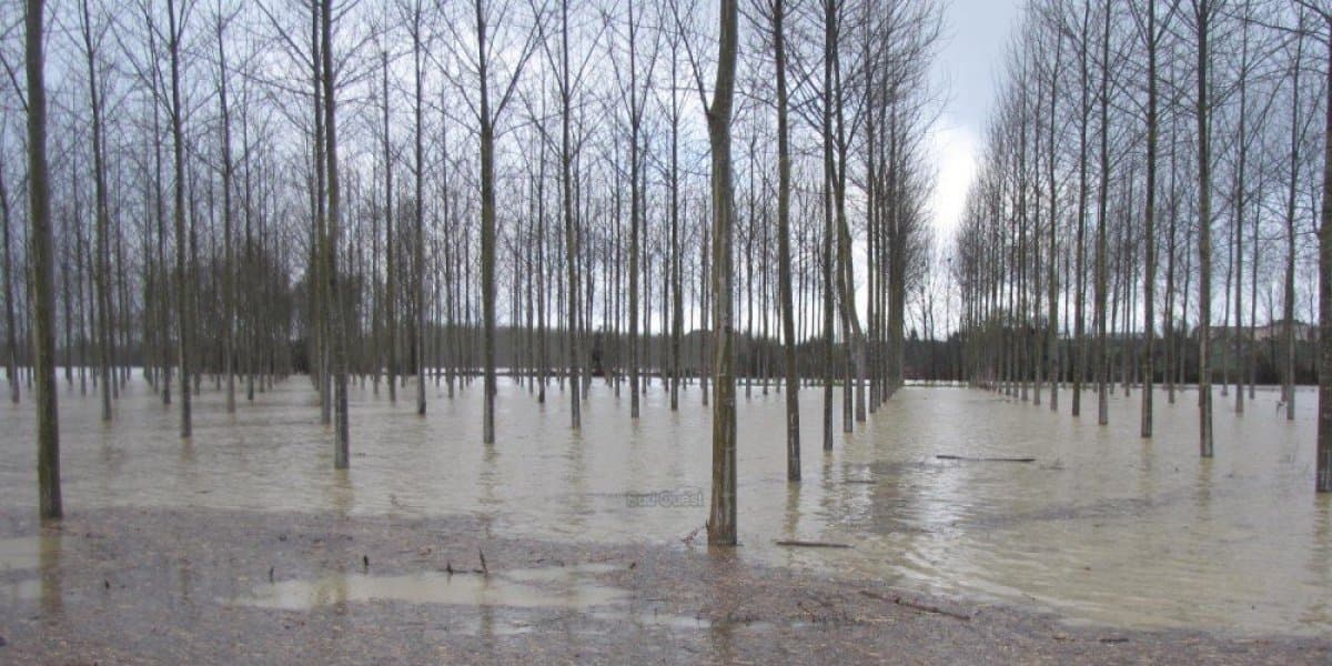 Image d'illustration pour Suivi des intempéries dans le Sud-Ouest et près des Pyrénées